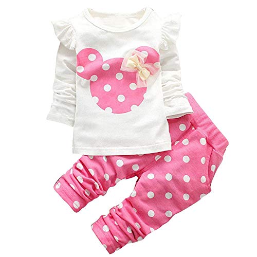 Baby Mädchen Kleidung Set Top Langarm Shirt + Pants Bekleidungsset Outfits (Pink, 0-6M)
